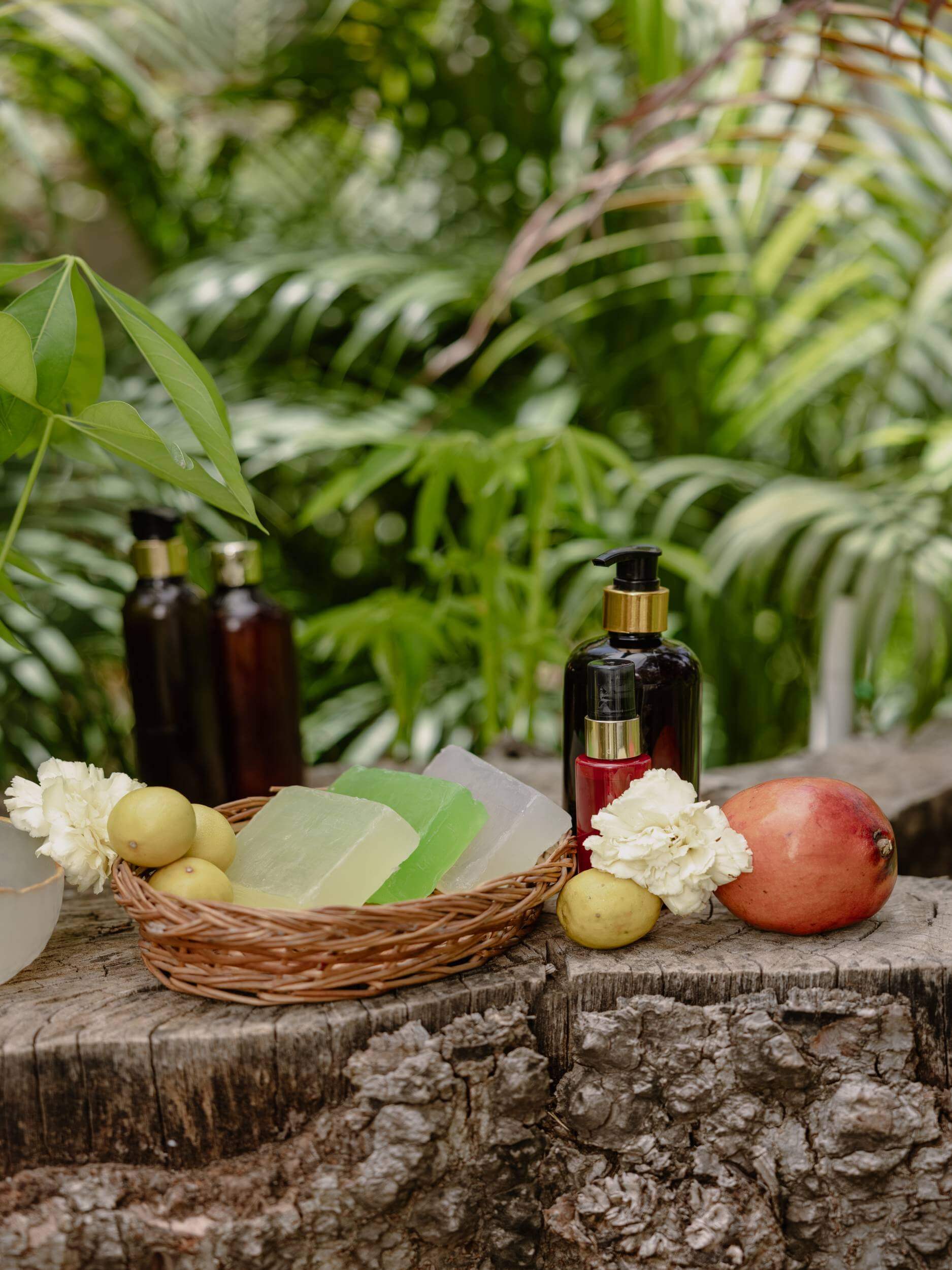 Ayurveda (Wellness)